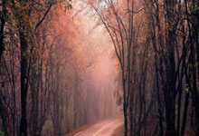 开元棋牌官网：世预赛-玻利维亚0-0乌拉圭送阿根廷出线.