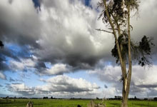 意甲最新积分榜：两大强队落败，领头羊5连胜，那不勒斯紧追国米.