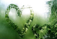 开元棋牌官网：《足球之夜》的厚重！足夜预测国足首发全对，甚至场上位置都全中.